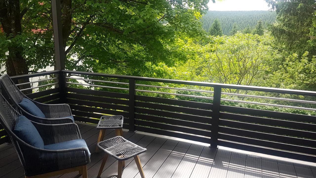 Pension & Ferienwohnung Oberhof 810 M エクステリア 写真